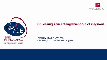 Talks - Coherent order and transport in spin-active systems - Yaroslav TSERKOVNYAK, UCLA