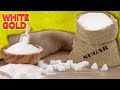 The Dark Side of Sugar