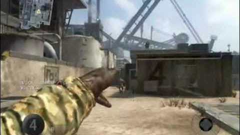 Black Ops - Beast 4 Humiliation Kills in a Row!