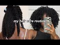 MY HAIR CARE ROUTINE FOR GROWTH ON NATURAL HAIR !! (type 4) ✨🙌🏾