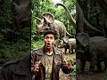 I explore a most dangerous zoo
