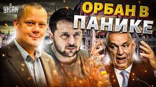 Зеленский довел Орбана до истерики! Этот вой слышал весь Будапешт. Конец “Дружбе”: в Москве приуныли
