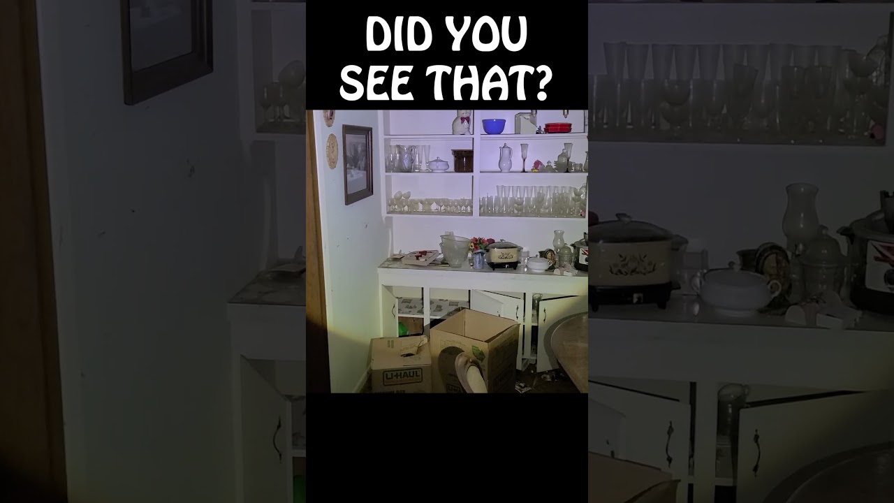 Doors Slam and Cabinets Fly Open: Haunting at Elmwood House 