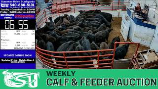 LIVE: Staunton Union Stockyard | Virginia Weekly Feeder Session | April 3, 2026
