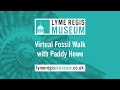 Lyme Regis Museum - Virtual Fossil Walk