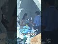 Unleash the Wild Dog Bone Rush! SongWeilong ZhangJingyi WildDogMania