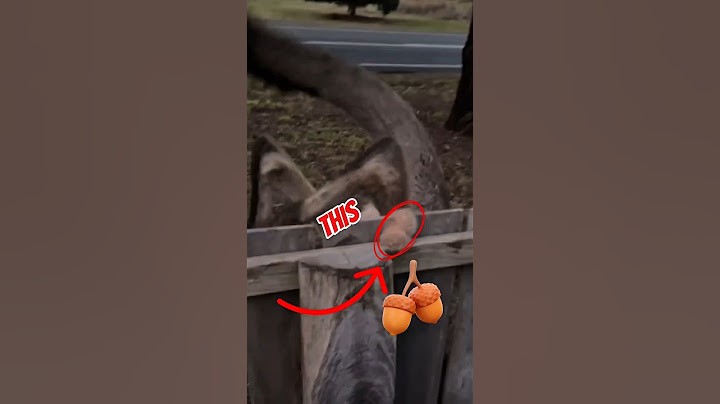 These 4 Animals Can Survive Almost Anything.#shorts