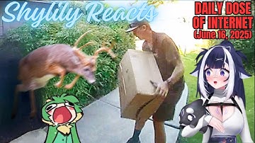 Shylily Reacts to Daily Dose of Internet: No Words Were Needed (June 16, 2025)