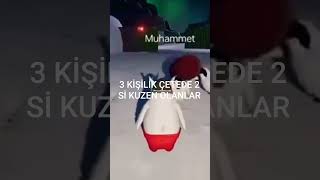 Nırmal Bir Durumdur