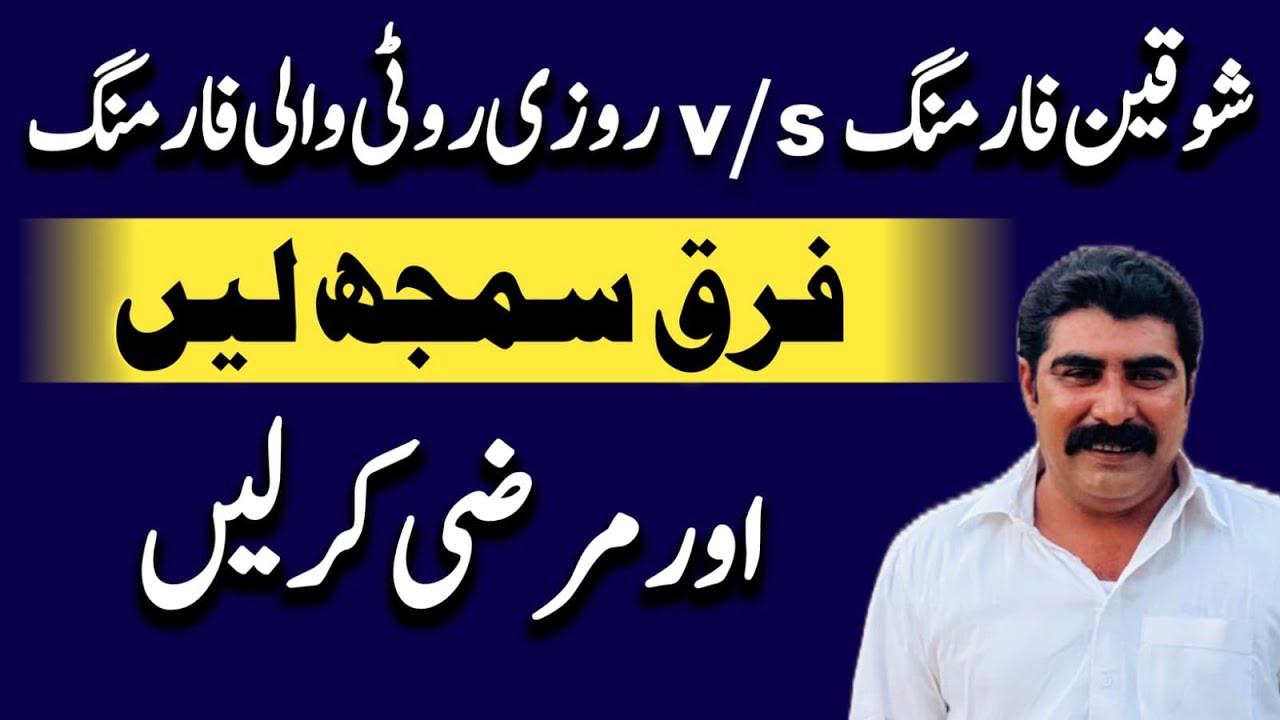 Difference between hobby and business 