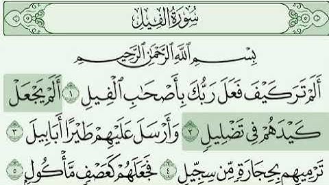 @علي جابر_Ali Jaber سورة الفيل