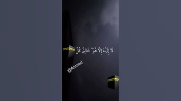 سوره الأنعام 😊😊#قرآن #قرآن #اكسبلور #المصحف #ياسر_الدوسري #لايك