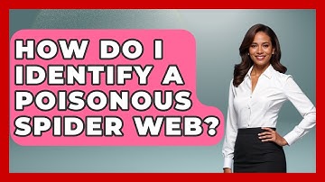 How Do I Identify A Poisonous Spider Web? - Insects and Invaders