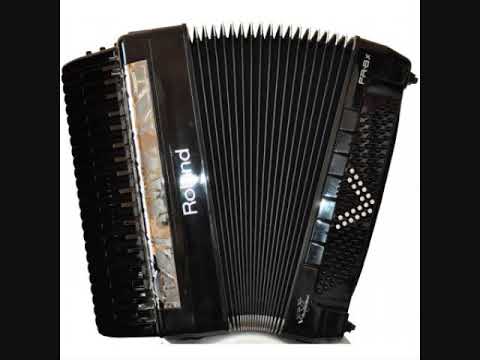 Live Acordeon program nunta de joc