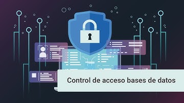 Control de acceso bases de datos