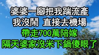 婆婆一腳把我踹流產,我沒鬧,直接去機場,帶走700萬陪嫁,隔天婆家沒米下鍋傻眼了#深夜淺讀 #為人處世 #生活經驗 #情感故事