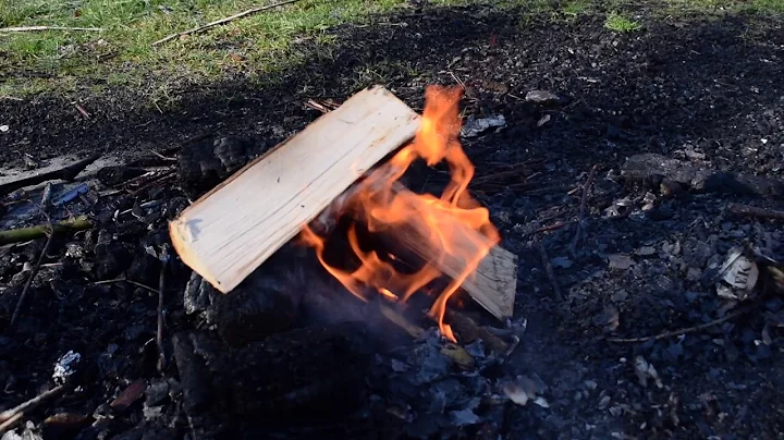 Survival jongerencoaching