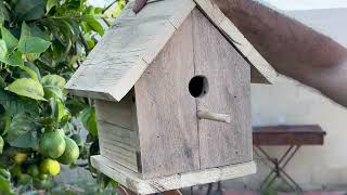 How to make Birdhouse from scrap wood. DIY is fun.