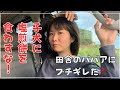 ブチギレ！！！何するんだ田舎者！！！塩煎餅にキレてバイト帰ってきた！子犬に何するんだ！！！毒って言ってるだろ！！！