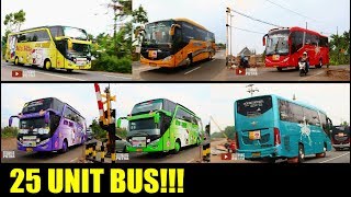 [SPECIAL MOMENT] DAPET 25 UNIT WARNA WARNI BUS  DENGAN ROMBONGAN BERBEDA