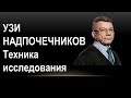 УЗИ надпочечников: техника исследования