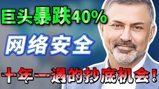 巨头暴跌40%，网络安全被错杀一年后迎来反转，翻倍近在眼前！十年一遇的补涨机会来了？错过后悔一辈子！PANW，CRWD，CHKP  #美股 #trading #抄底 #微软
