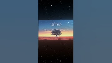 سورة الأعراف|40|القارئ:#محمد_اللحيدان #قران #quran #راحة_نفسية #قران_كريم #تلاوة_هادئة #تلاوة_خاشعة