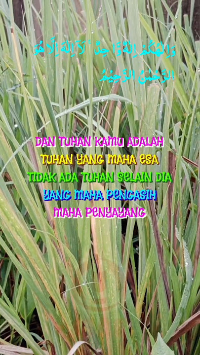 #tuhan yang maha esa#viralvideo #shorts