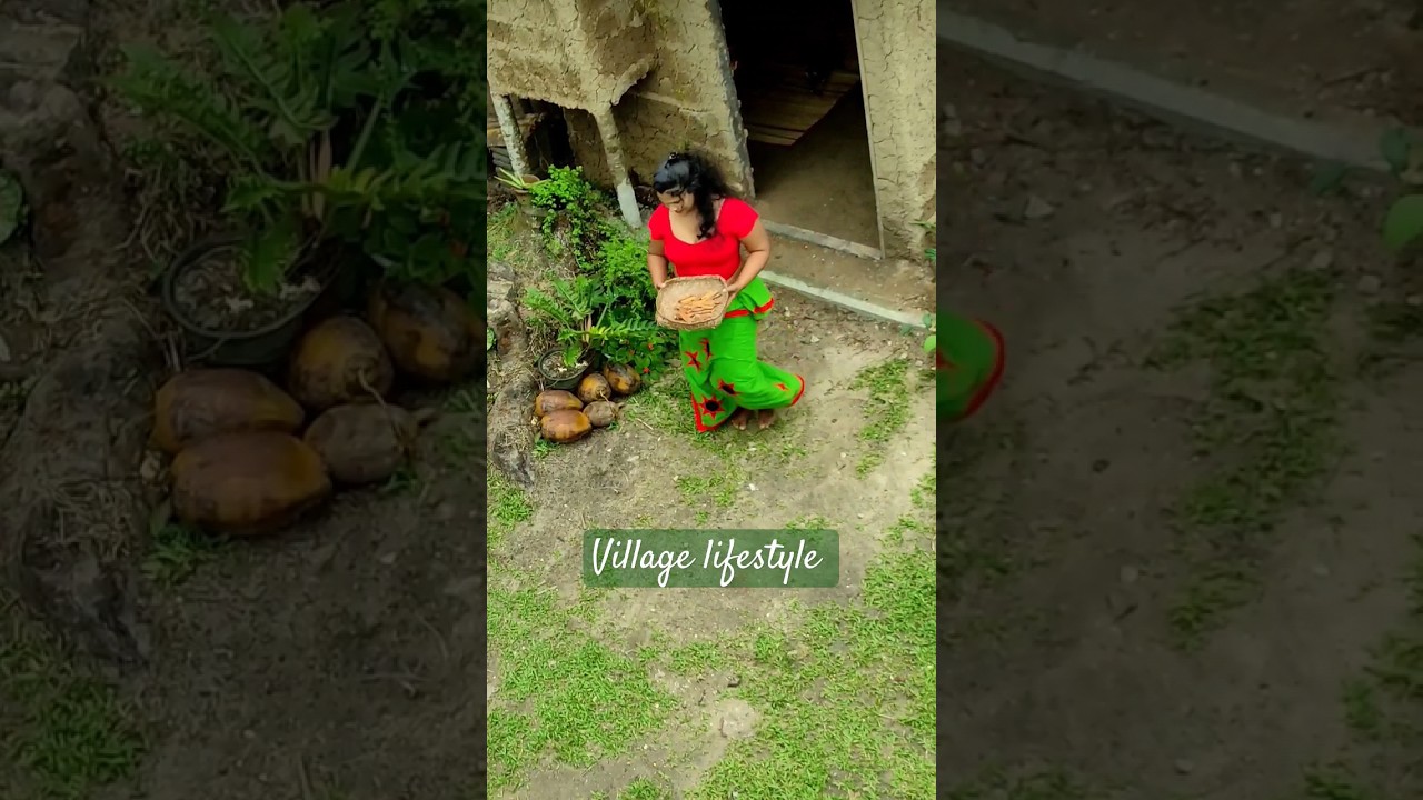 traditional me pro | village cooking channel|