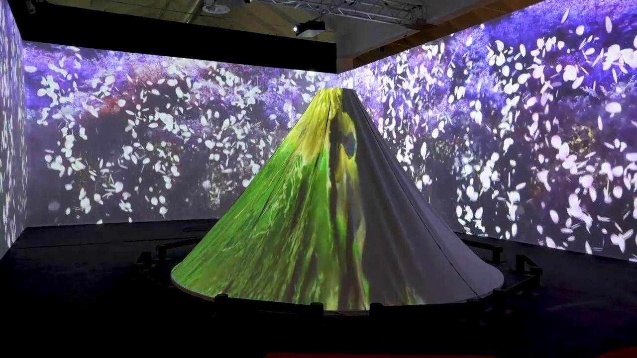 Japanese Ukiyo-e art comes alive in new immersive exhibition in