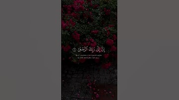 سورة العلق راشد الأركاني...🤍 #راحة_نفسية.