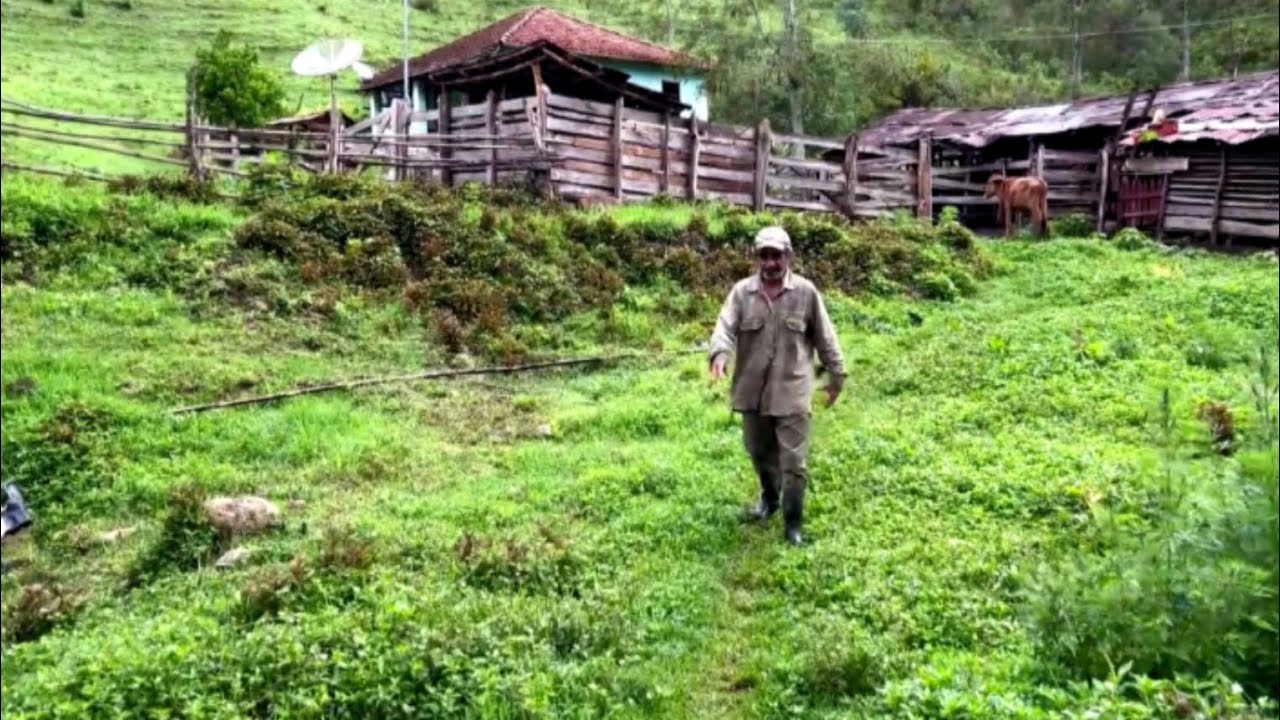 ELE TEM 62 ANOS NUNCA NAMOROU ELE TEM UMA HUMILDADE  