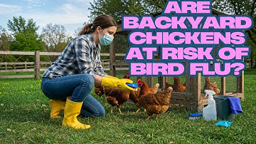 Backyard Chickens: The viruses that cause avian influenza | Avian Flu!