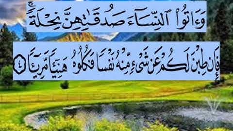 سورة النساء اية ٤ جمال القرش(٤)