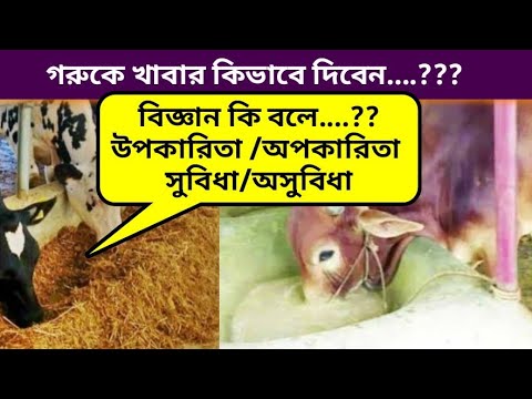 ভিডিও: শুকনো খাবারটি কি খাওয়ার জন্য?