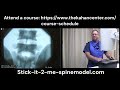 Stick-It-2-Me spine model lumbar medial branch block practice  demonstration
