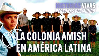 Los amish americanos: ¿una colonia menonita en sudamérica? | Historias Vivas | Documental HD