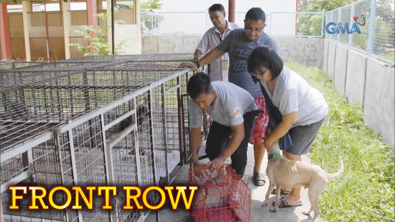 Front Row: Mag-asawa, nag-ampon ng mga aspin sa dog pound