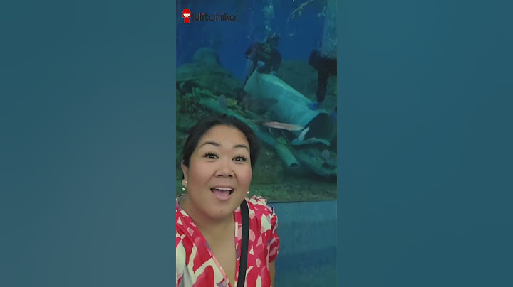 UNDERWATER WORLD PATTAYA