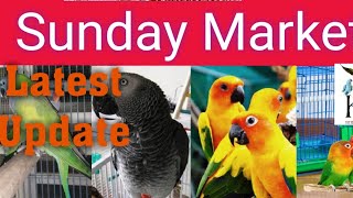 Lalukhet Sunday Birds Market Latest Update | Lalukhet Sunday birds market