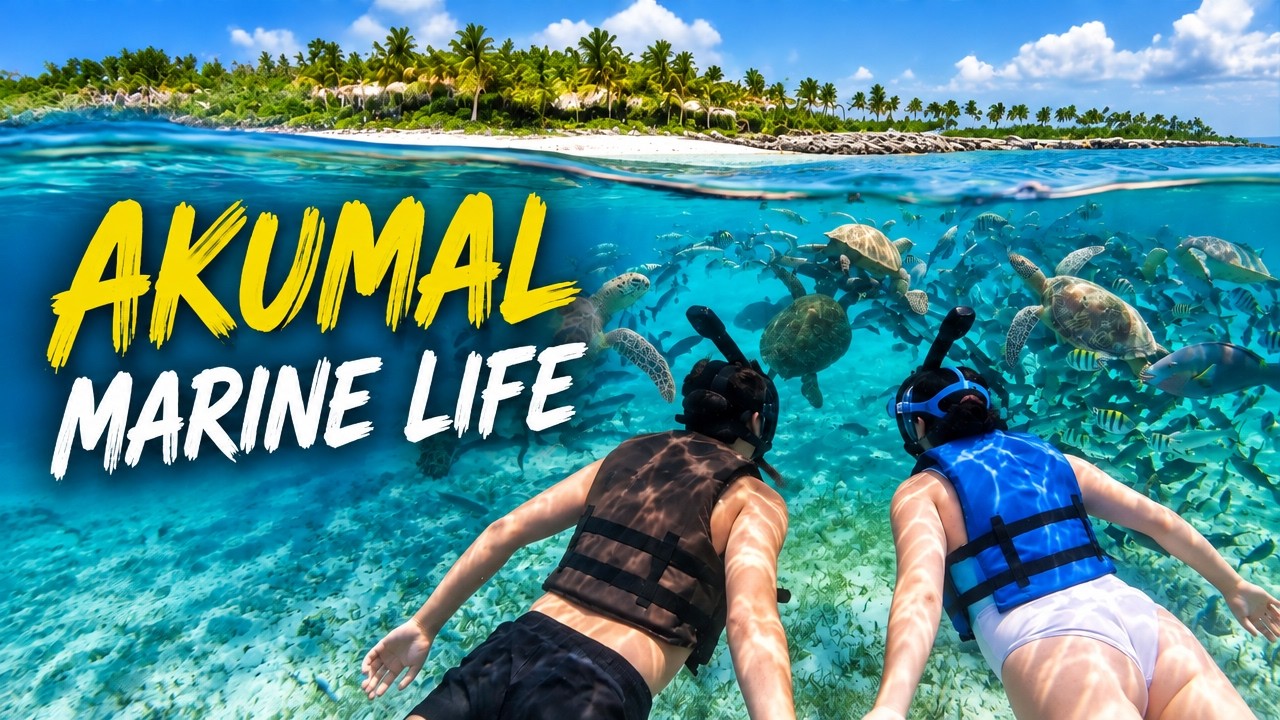 Why This Tiny Mexican Beach Town Blew Us Away! (Akumal)