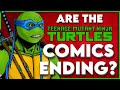 Are the idw ninja turtles comics ending