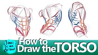 Download lagu FIGURING OUT HOW TO DRAW THE MALE TORSO FIGURING OUT HOW TO DRAW THE MALE TORSO