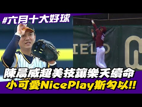 中職》陳晨威超美技讓樂天續命 小可愛NicePlay斯勾以‼六月十大好球⚾【MOMO瘋運動】