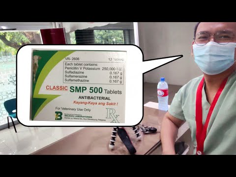 Video: Tetracycline - Alagang Hayop, Aso At Cat Na Gamot At Listahan Ng Reseta
