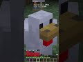 El Pollo ESTABA INCOMODO! 🤣🤣