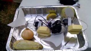 Robotic Fish