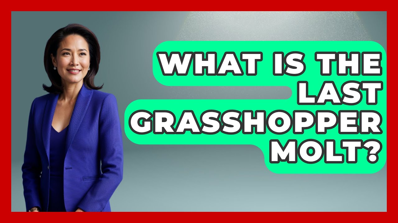 What Is The Last Grasshopper Molt? - Reptilian Wonders
