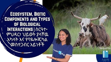 Grade 8 General Science Unit 5፡ Ecosystem and Interactions