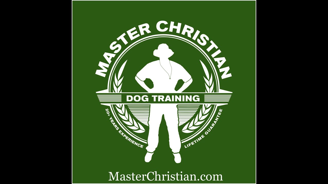 Dog Training Atlanta with big Puppy Champion YouTube